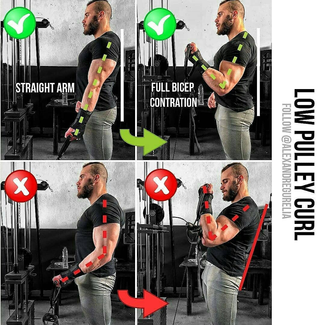 Biceps exercises lifting the bar to the biceps