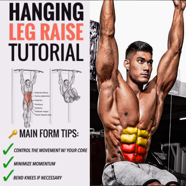 How to Hanging Knee Raises Videos & Guides