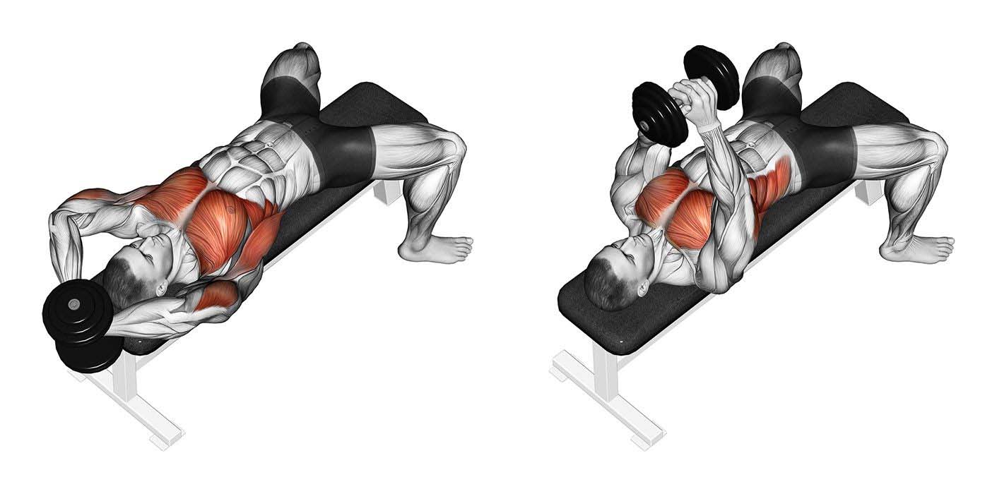 How to Do the Dumbbell PullOver for Big a Wide Back and Chest Muscle