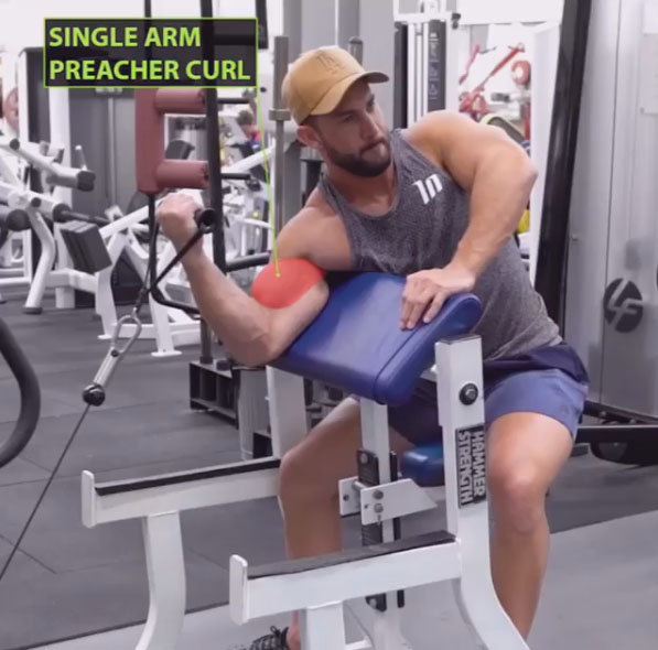 HOW TO CABLE PREACHER CURL Videos & Guides weighteasyloss