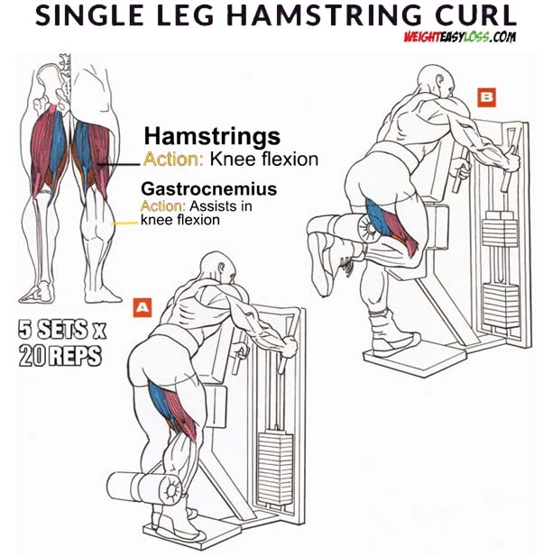 How to SingleLeg Standing Hamstring Curl Types, Benefits & Guide