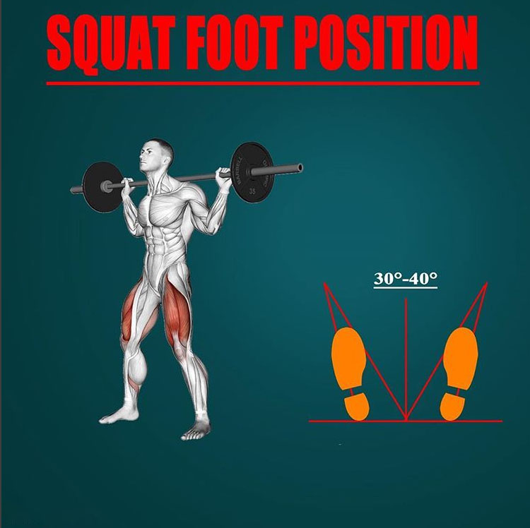 Foot Positions In The Squat Squats Deep Squat Physical Therapy