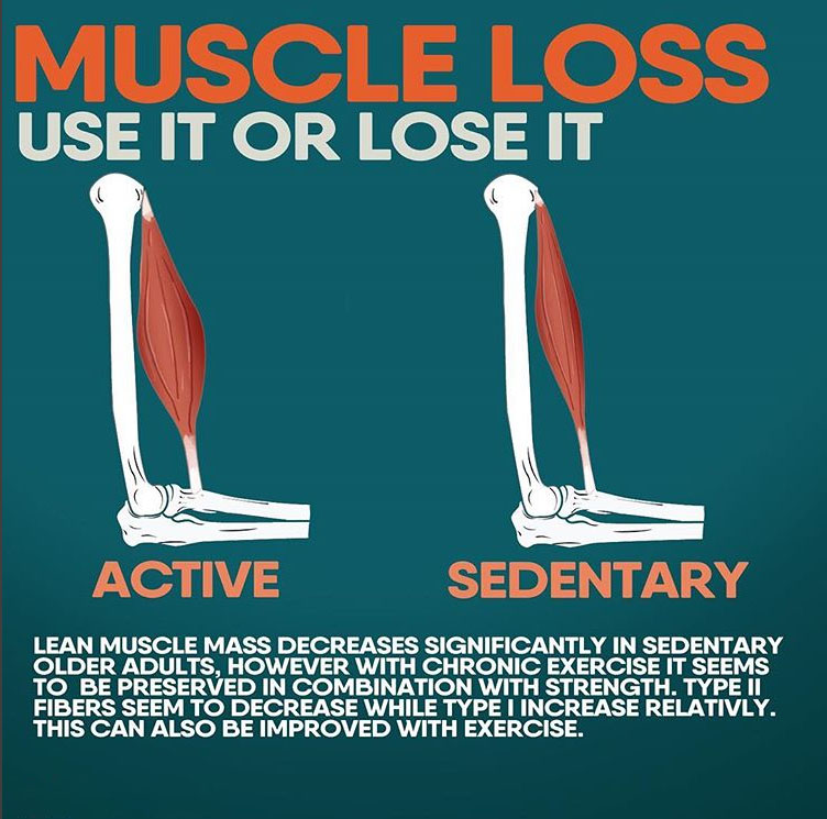 MUSCLE LOSS GUIDE