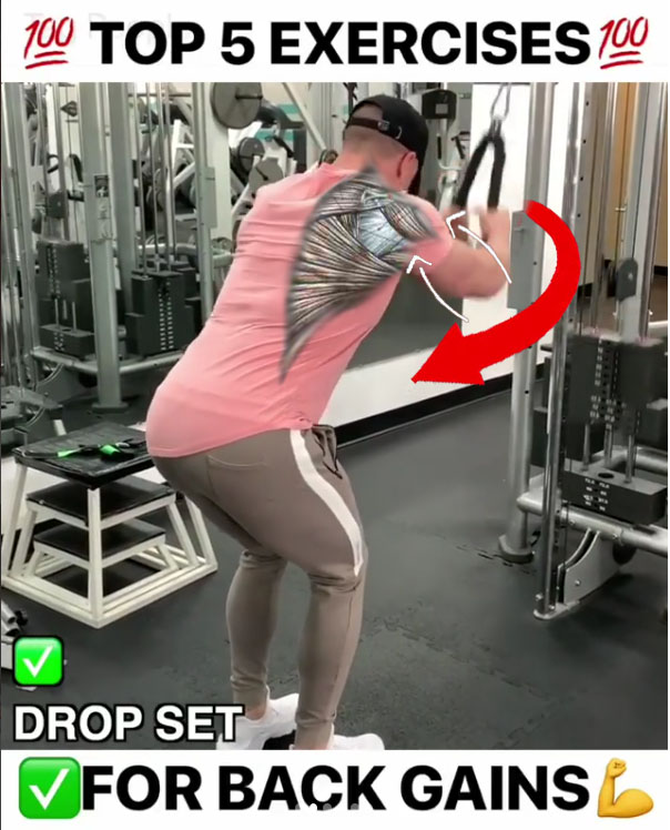 TOP 5 EXERCISES FOR BACK VIDEO & GUIDE