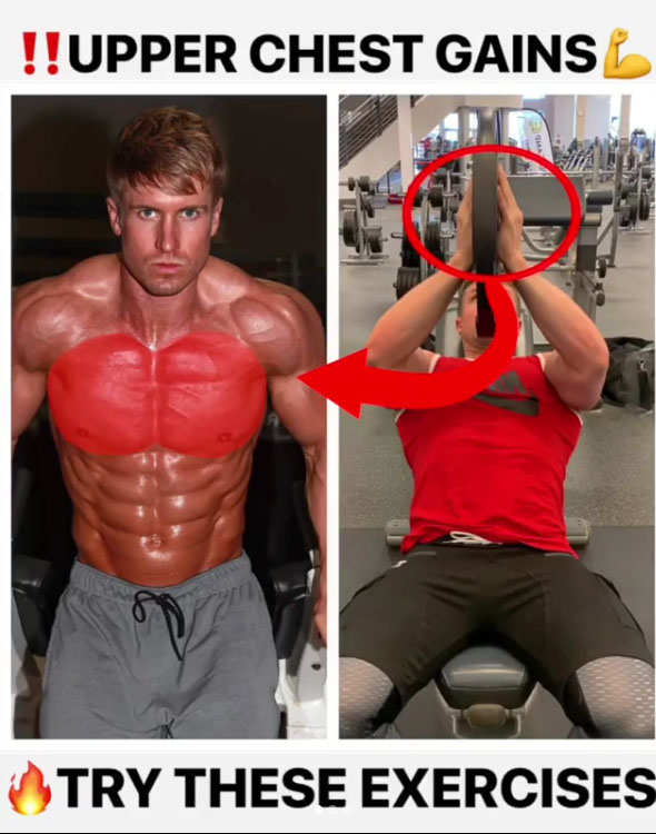 3 EXERCISES FOR UPPER CHEST Video & Guide