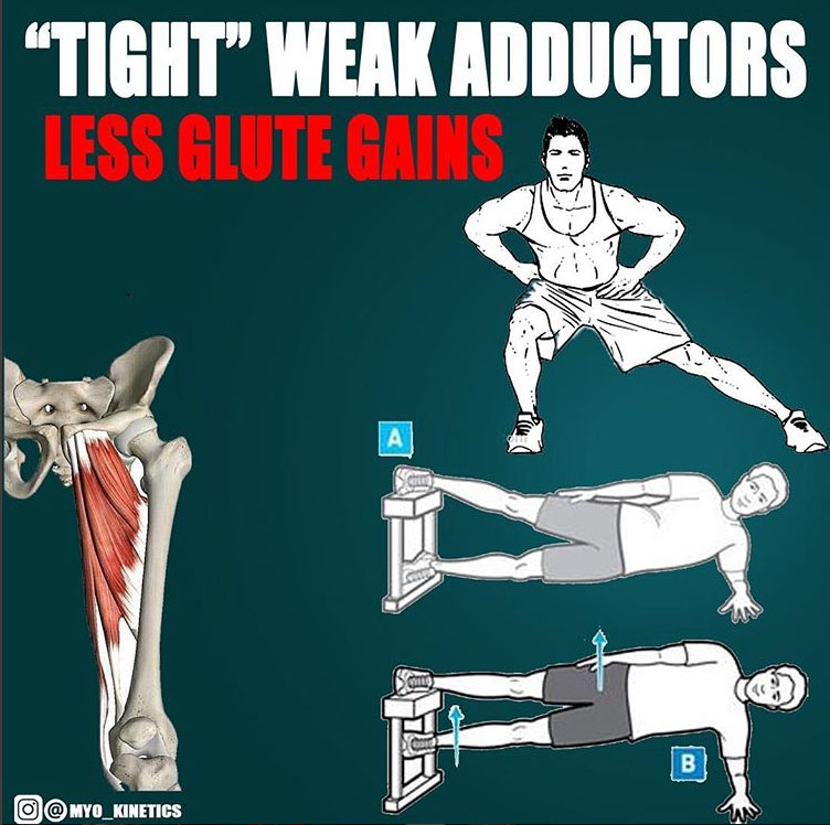 Tight weak adductors weakening your glutes