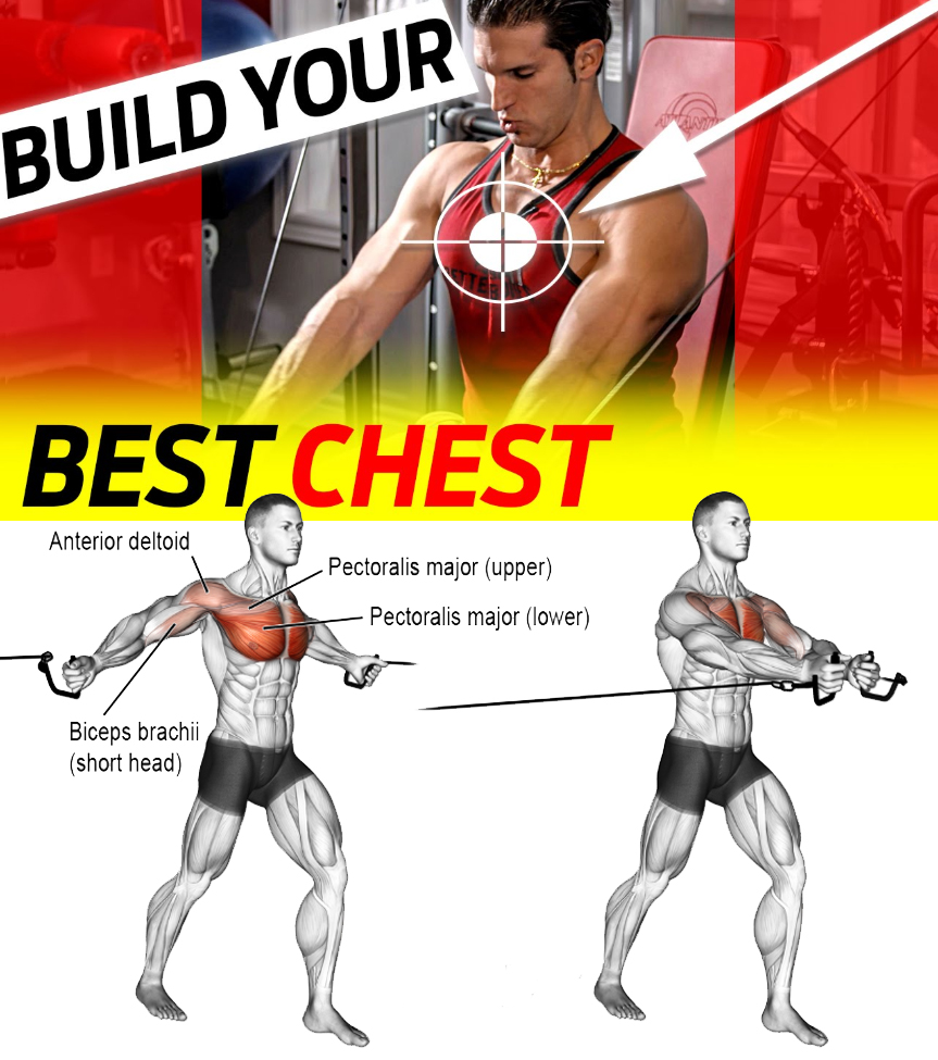 DUMBBELL & CABLE FLYES