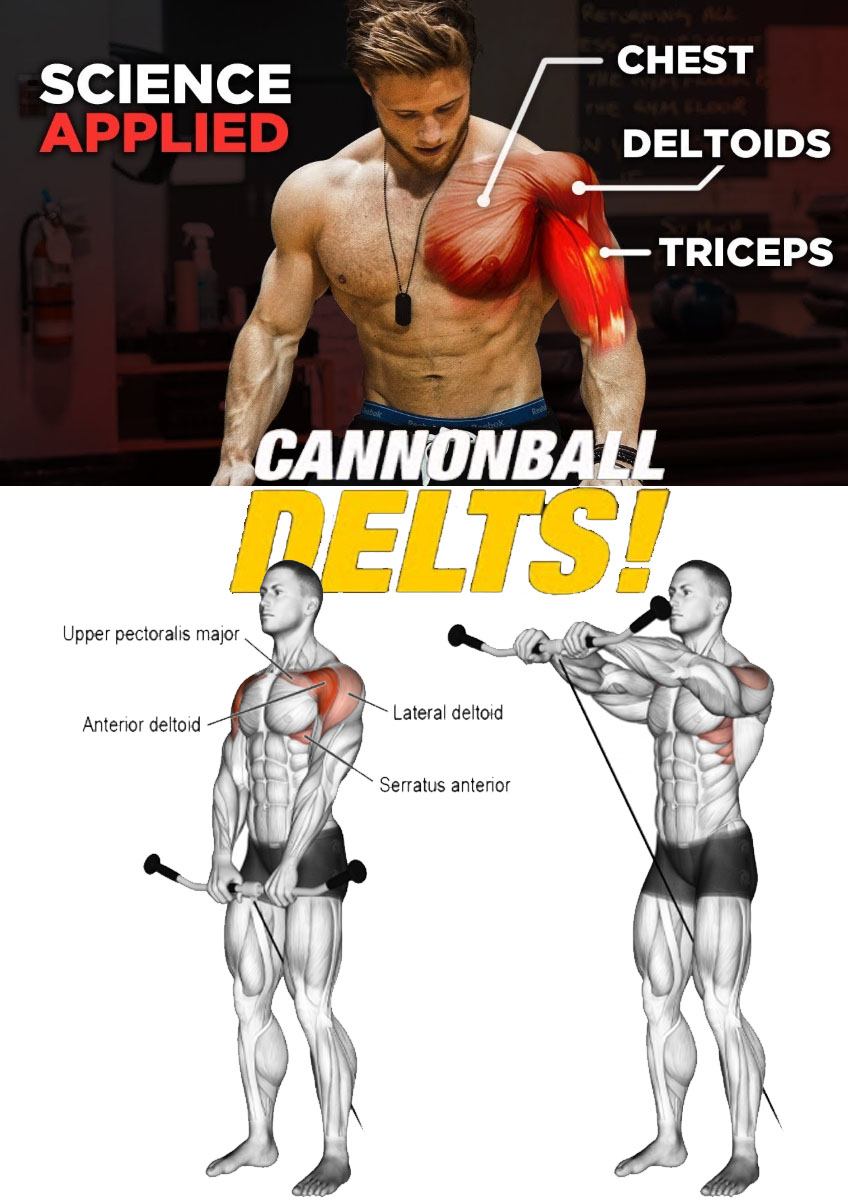 HOW TO ANTERIOR DELTS TRAINING