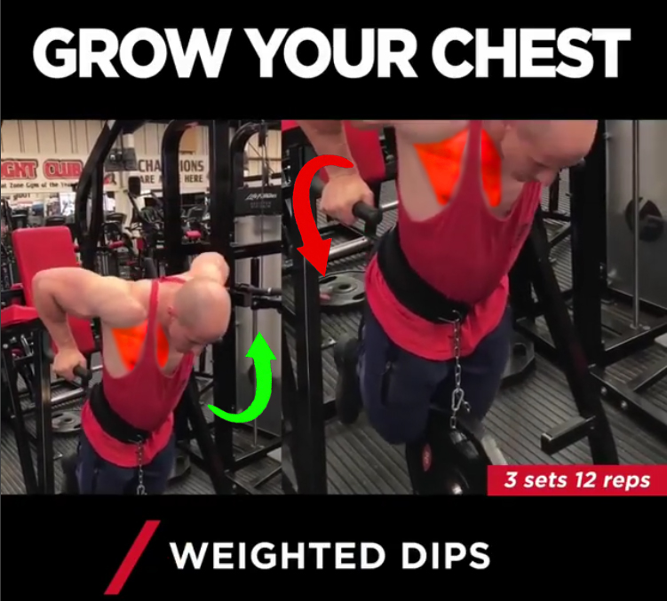 TOP 5 COMPLETE CHEST WORKOUT VIDEO & GUIDE