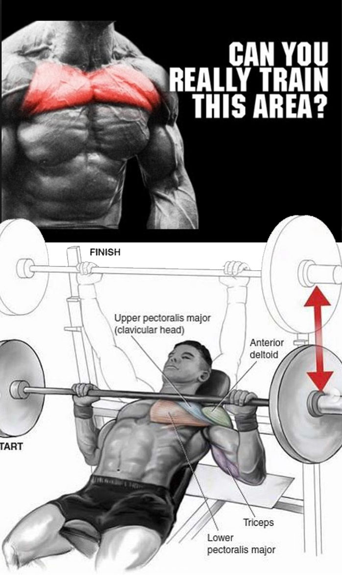 TOP BIG CHEST EXERCISES GUIDE