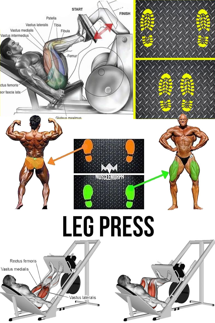 HOW TO LEG PRESS FOOT PLACEMENTS PICTURE & GUIDE