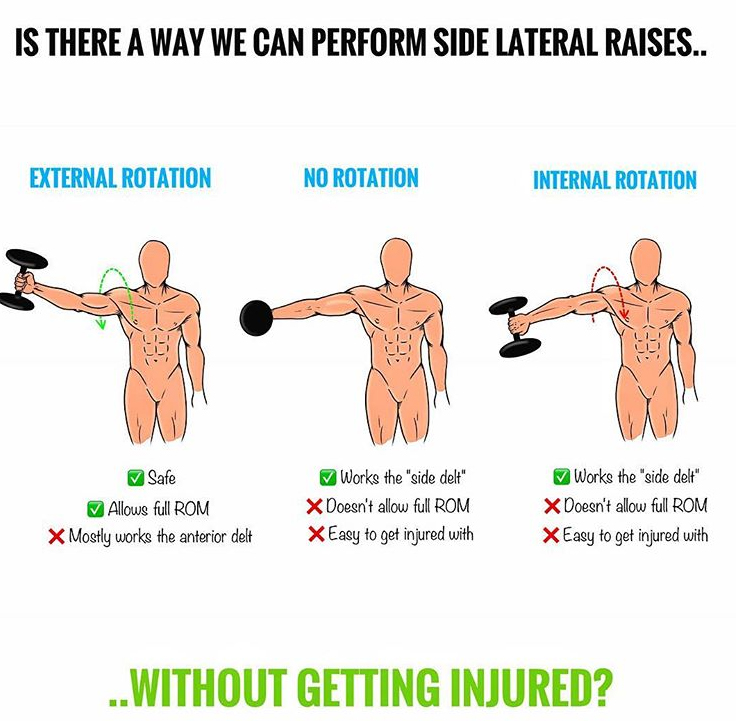 HOW TO GROW YOUR SHOULDERS GUIDE