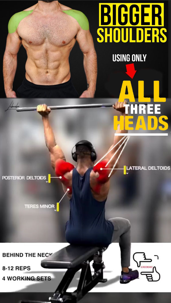 How to Rear Delt Development Exercises Video & Guide