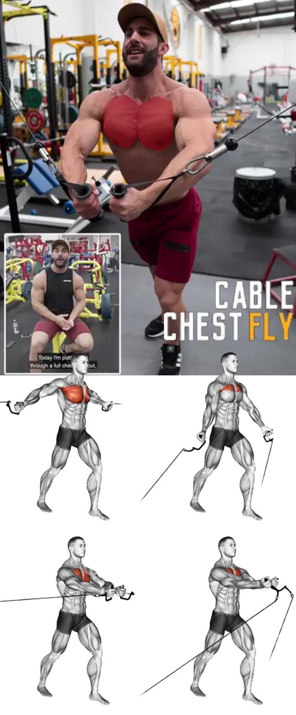 Cable Chest Pull & Tips Guide Fitness