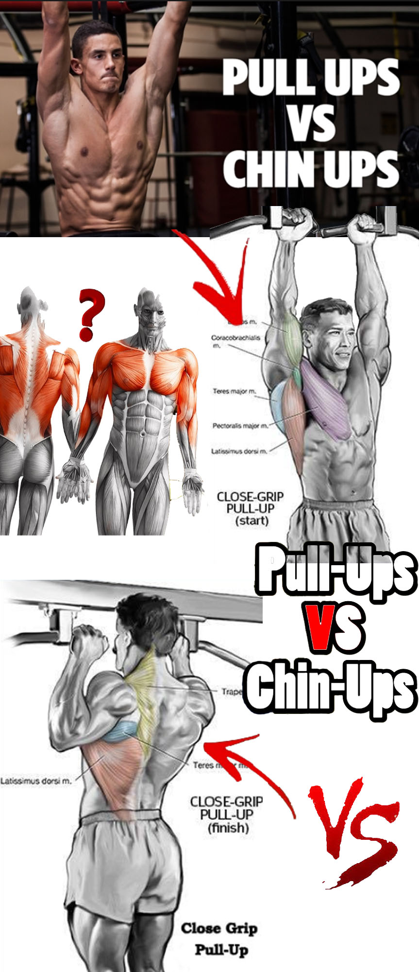 Pull ups vs Chin ups Guide
