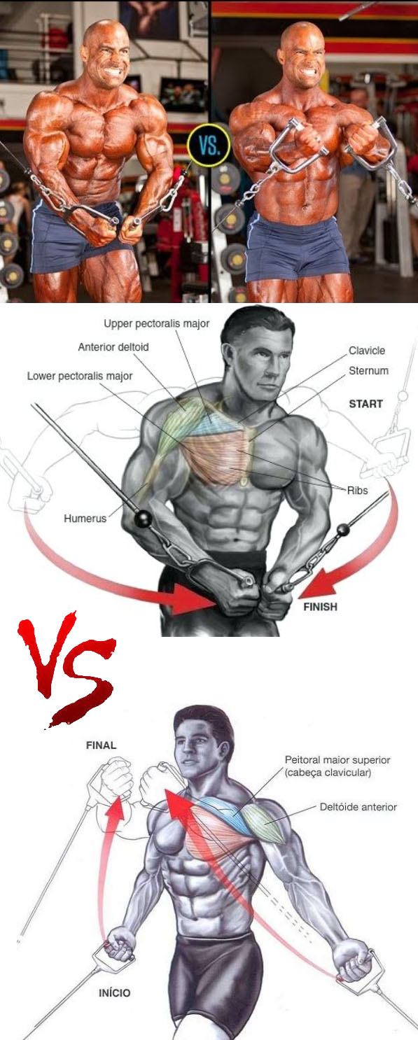Chest Exercises Tutorial Video & Guide