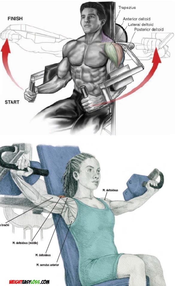 Shoulder Workout Video & Guide