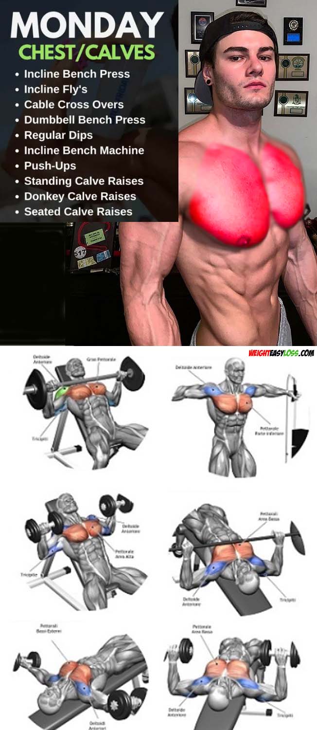 Jeff Seid’s Workout Routine & Diet PART1