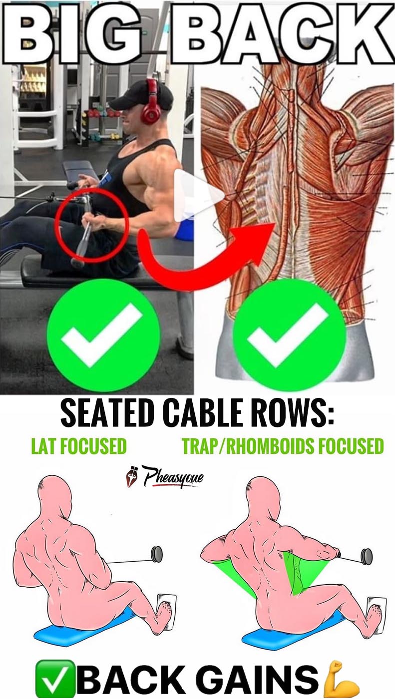 SEATED CABLE ROWS