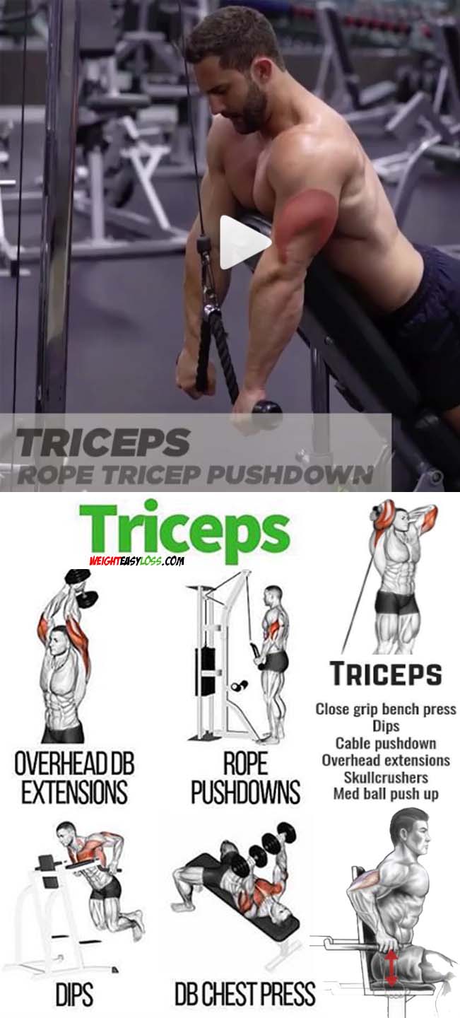 Triceps Pushdown Video & Guide Fitness Lifestyle Fitness and