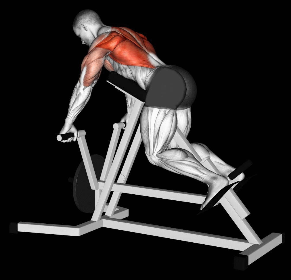 How to Build Wide Back, Technique perform Video & Guide