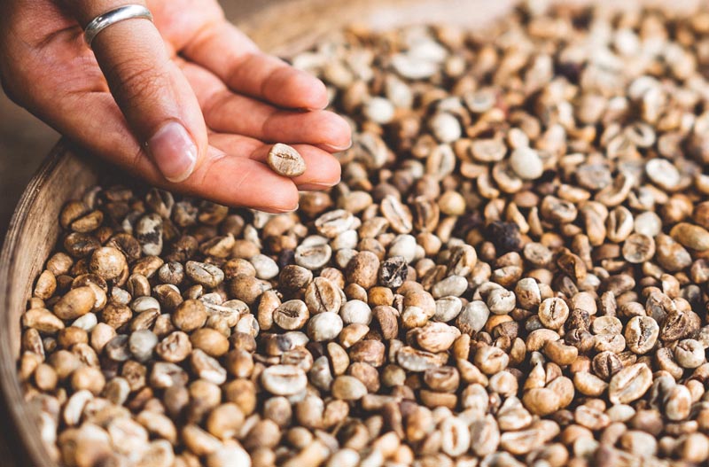 Best Weighted Blanket Fillers The Ultimate Fillings Guide