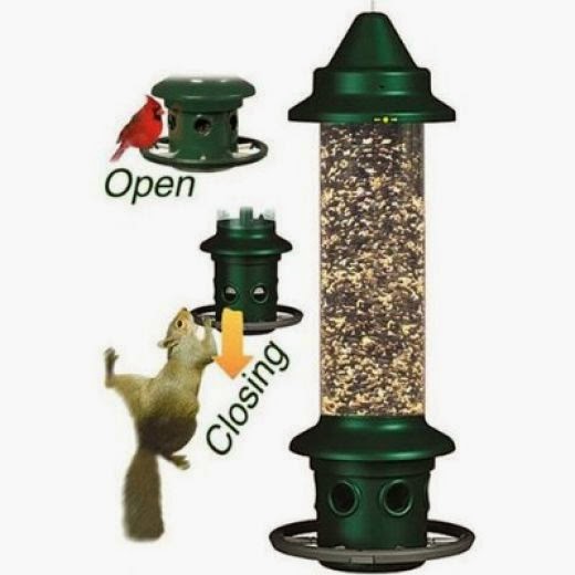 What is the World’s Best Squirrel Proof Bird Feeder? weightlossguide11