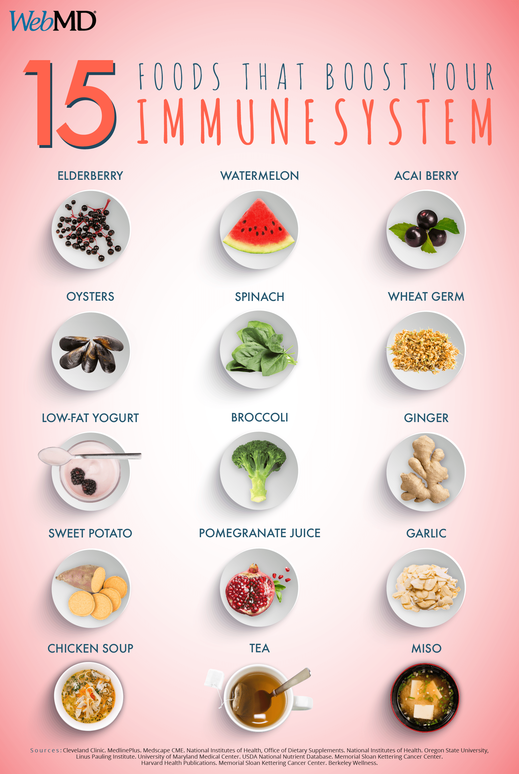 how to build your immune system Freddys Blog For Nutrition & Lifestyle