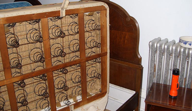 10 Common Things That Weigh About 60 Pounds Weight of Stuff