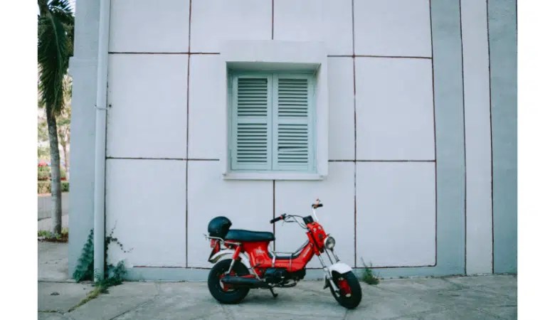 11 Things That Weigh Around 250 lbs (pounds) – Weight of Stuff