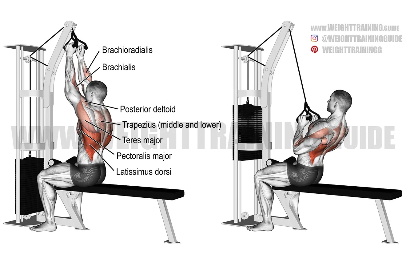 Close neutral grip lat pulldown guide and video Weight Training Guide