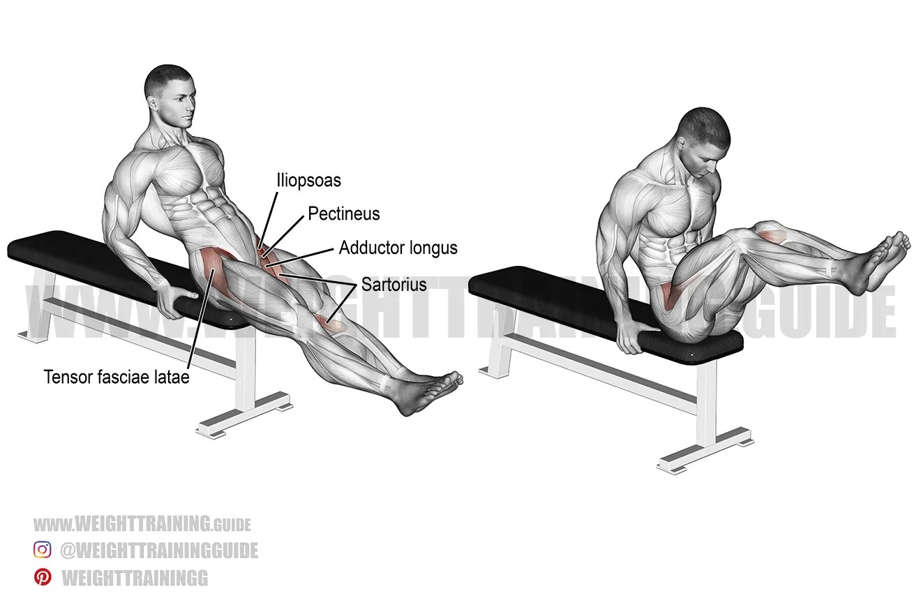 Incredible Leg Raises Off Bench Concept Artha Design