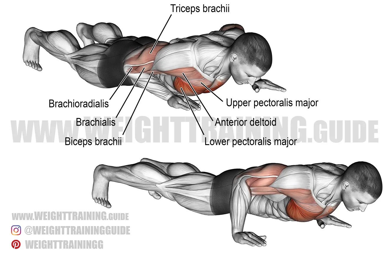 Isometric workout on hand wipers taptaia