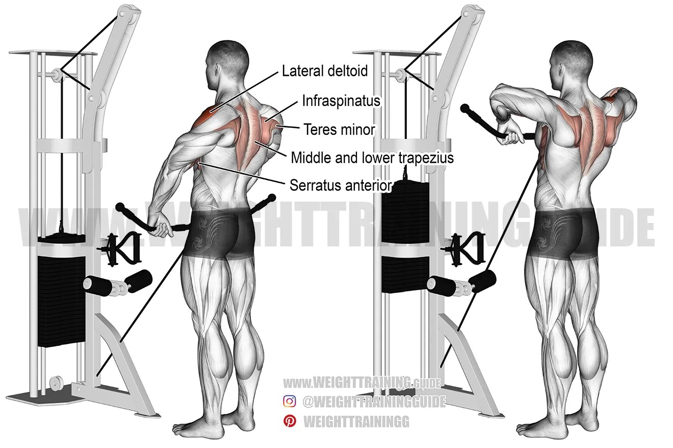 Cable widegrip upright row instructions and video Weight Training Guide