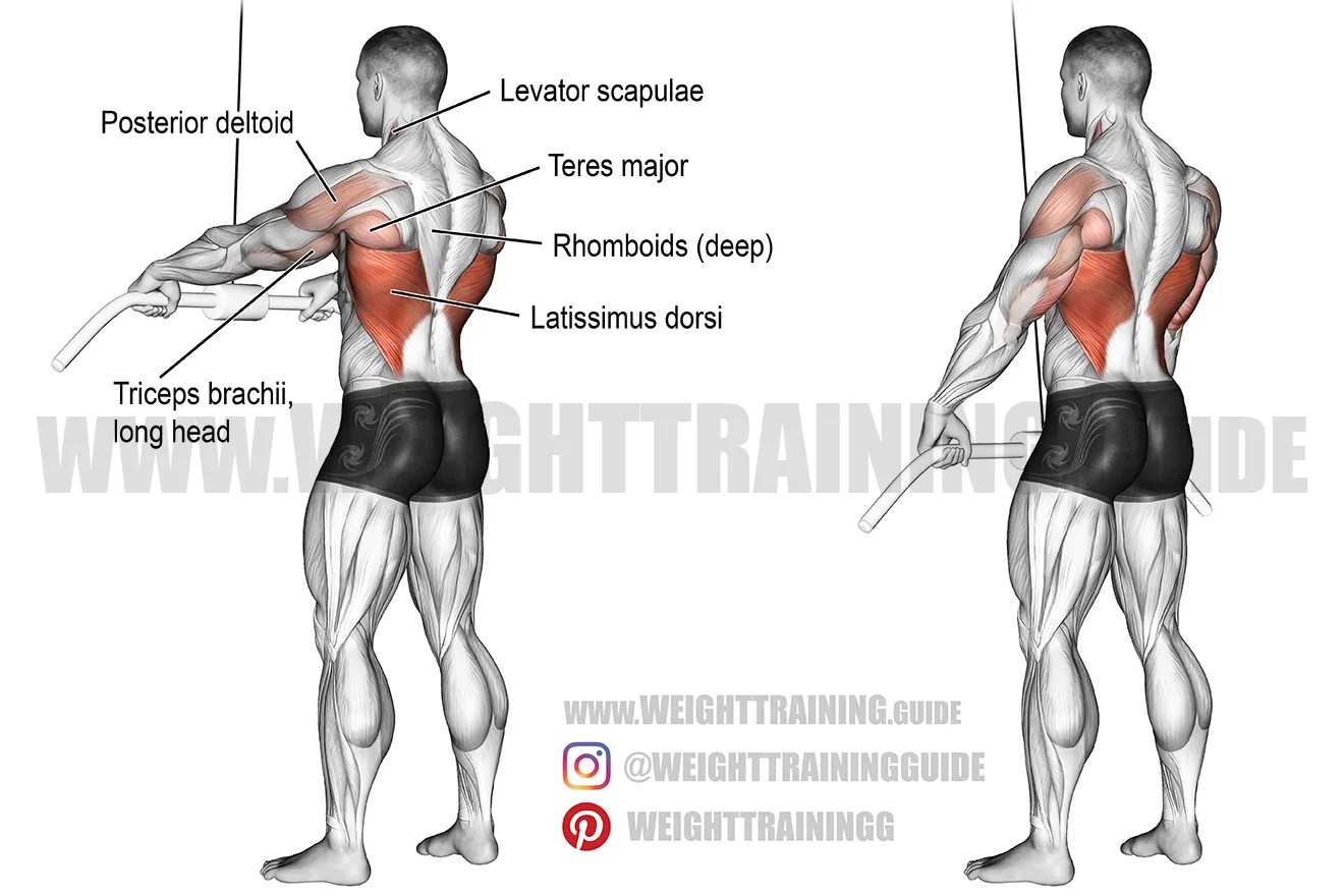 Cable straightarm pulldown exercise instructions and video Weight