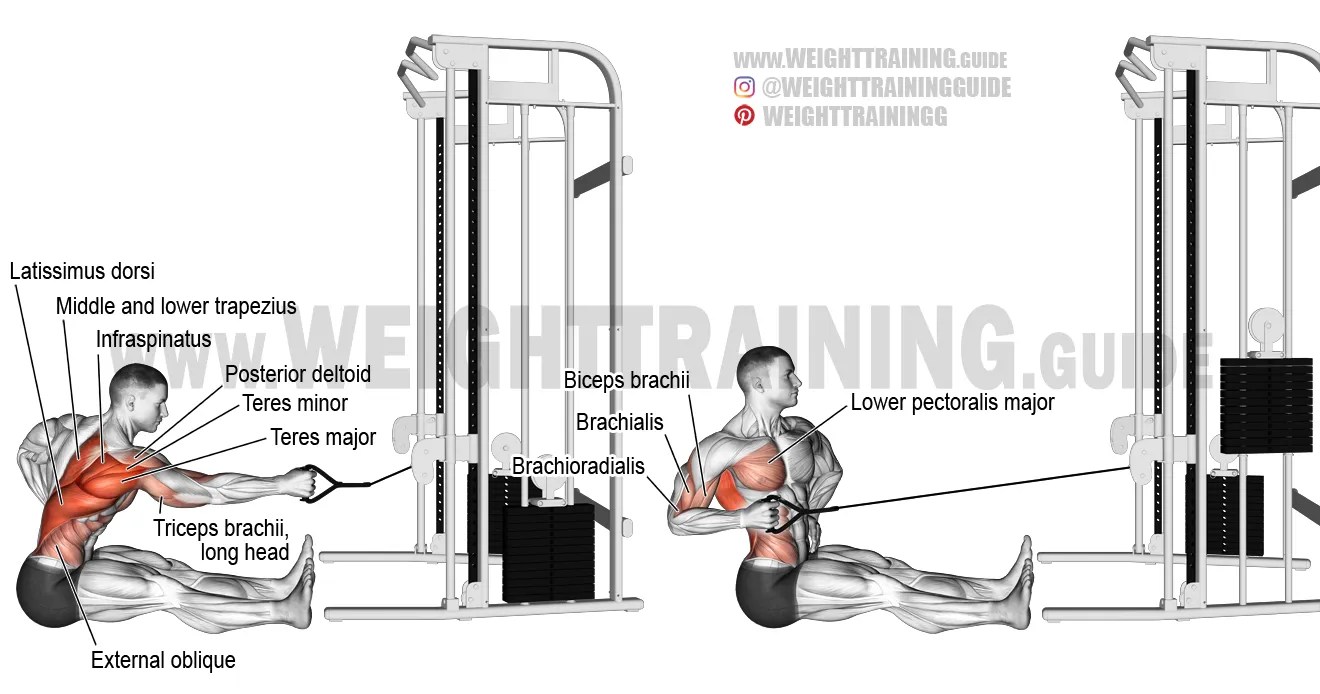 Seated twisting cable row exercise instructions and video