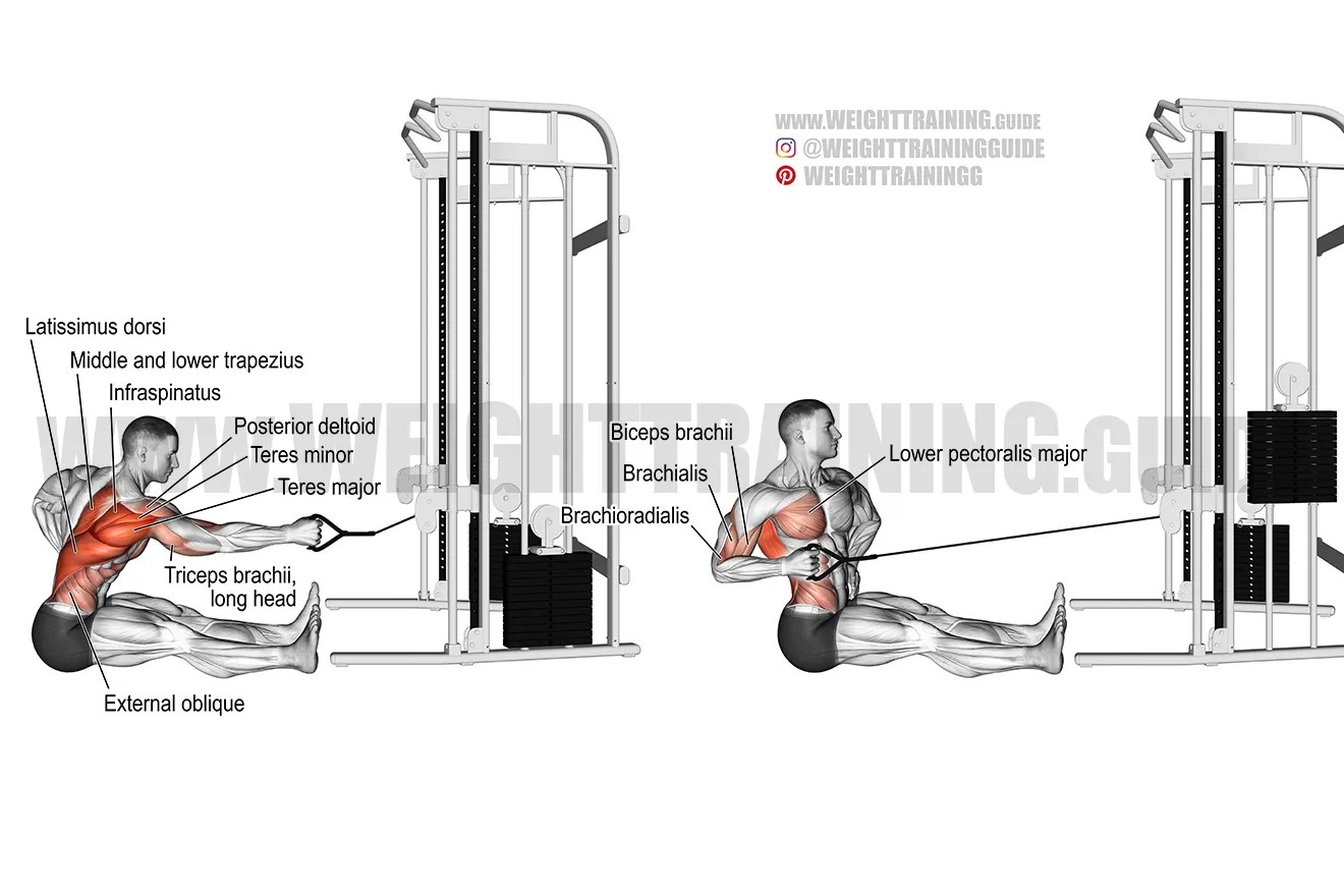 Seated twisting cable row exercise instructions and video