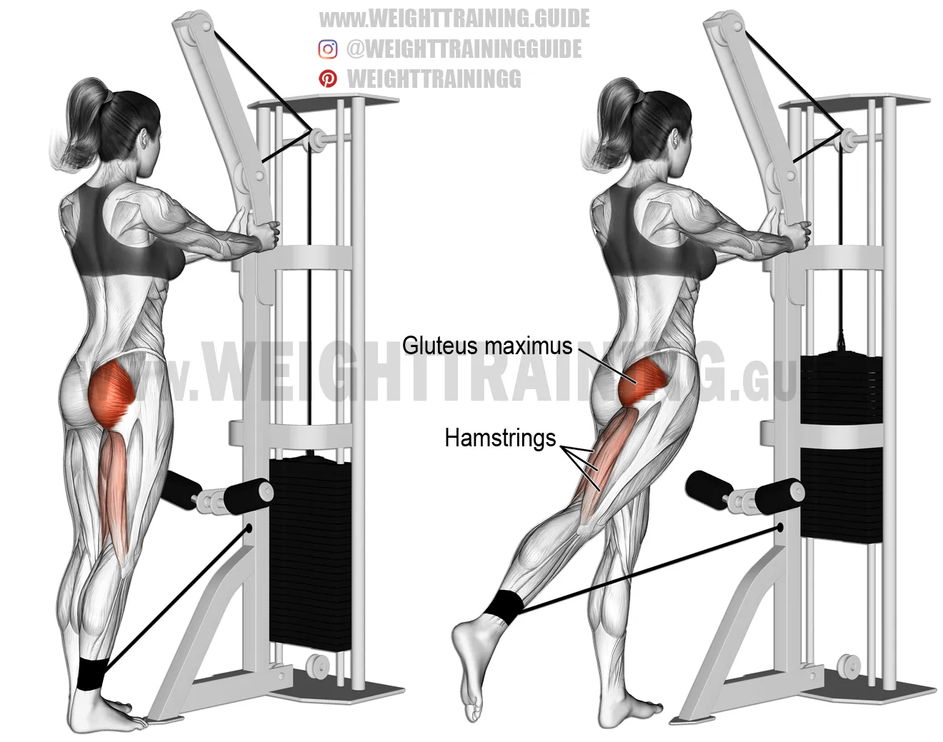 Standing cable hip extension exercise instructions and video