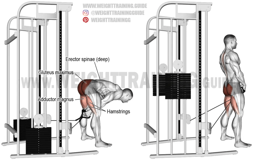 What Are Cable Pull Throughs at Laurie McRae blog