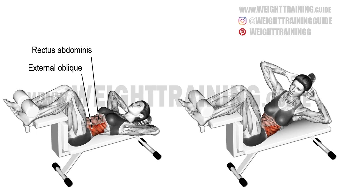 Twisting crunch exercise instructions and video Weight Training Guide