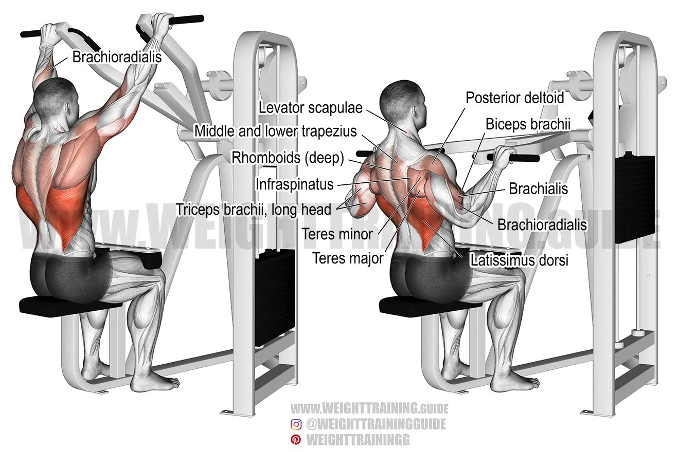 Machine front pulldown instructions and video Weight Training Guide