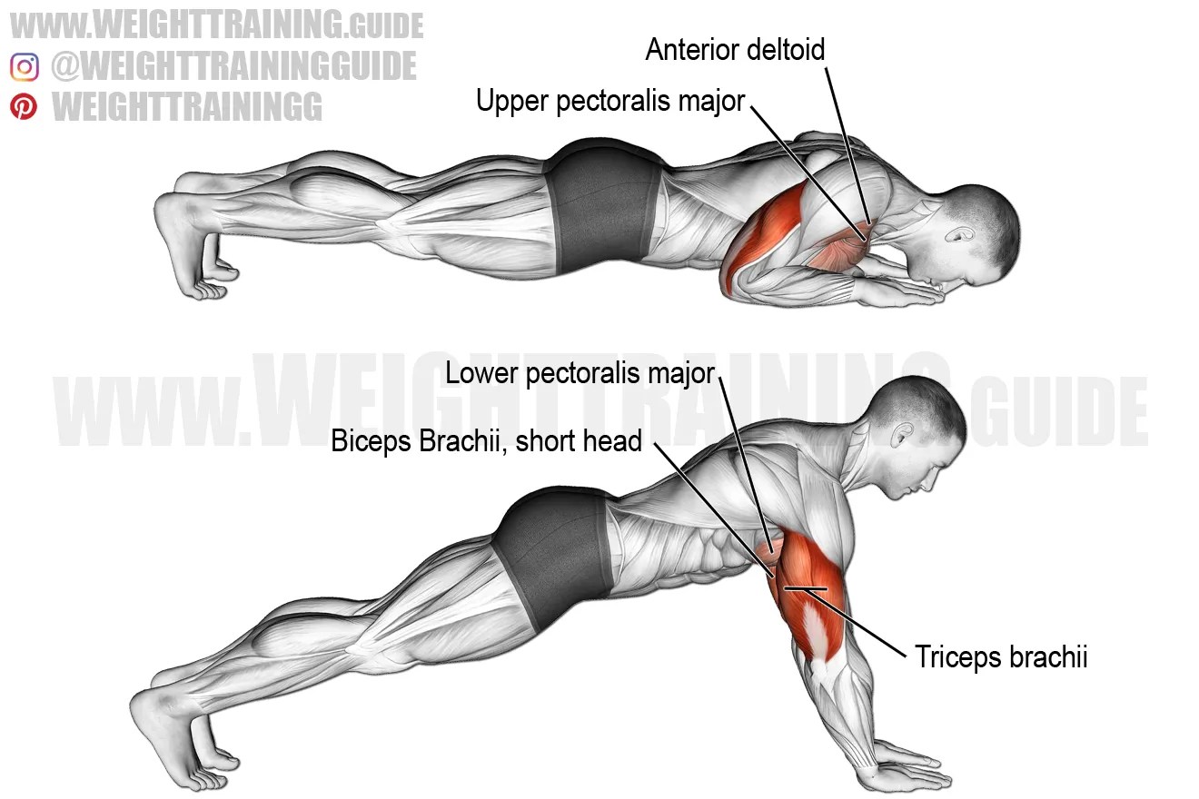Bodyweight triceps extension instructions and video WeightTraining.guide