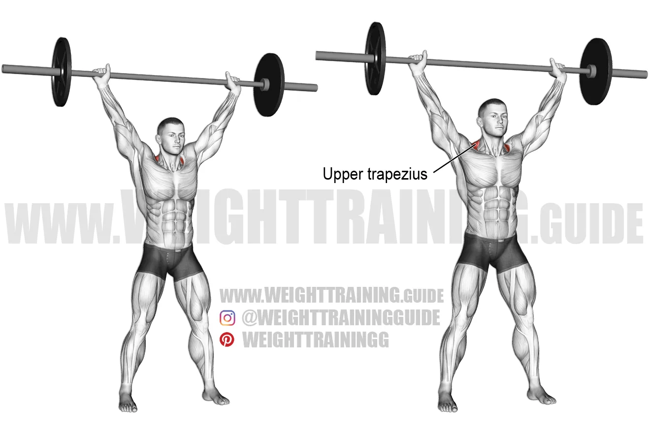 Barbell overhead shrug instructions and video weighttraining.guide