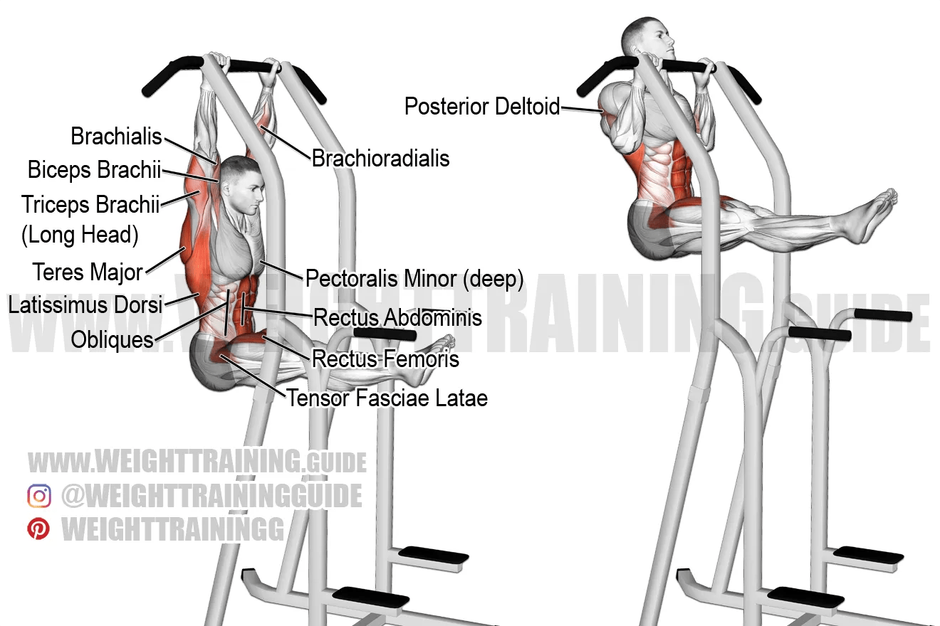 Lsit pullup exercise instructions and video weighttraining.guide