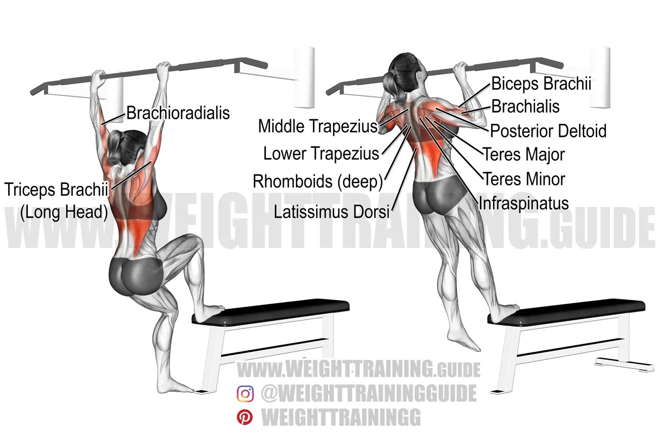 Selfassisted pullup exercise instructions and video weighttraining