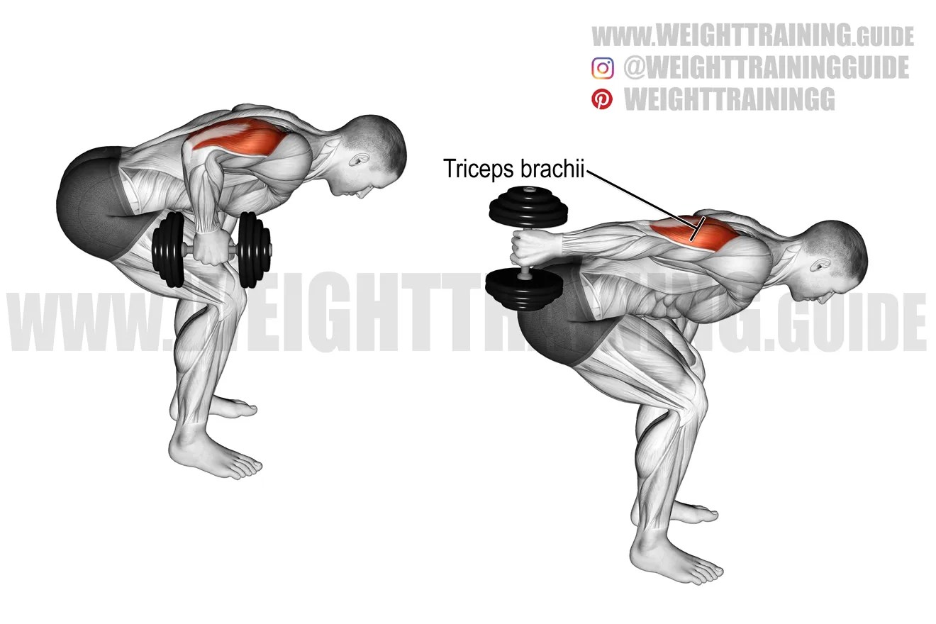 Standing dumbbell kickback exercise instructions and video