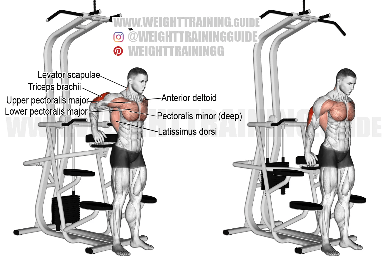 Triceps dip using assisted pullup machine exercise instructions