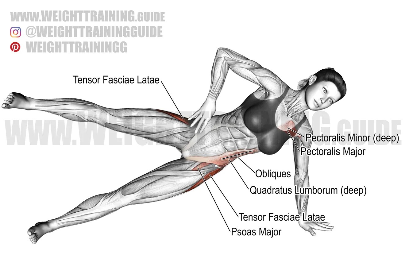Side Plank Lifts
