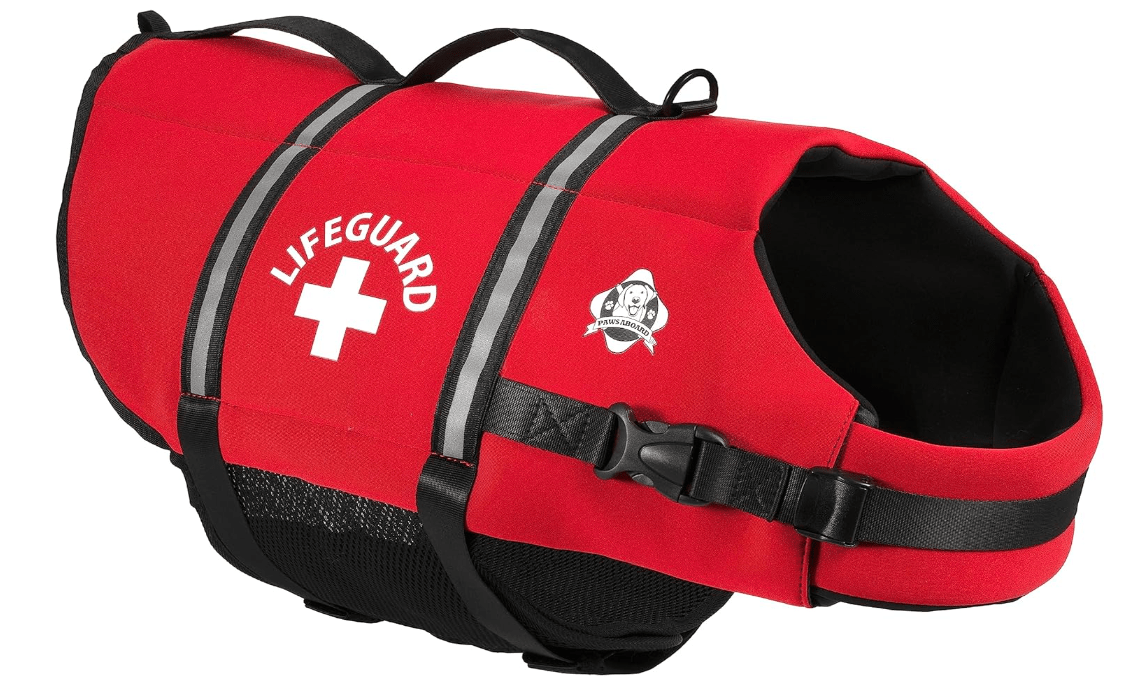 Best Dachshund Life Jackets (For Your Pet's Comfort & SAFETY)