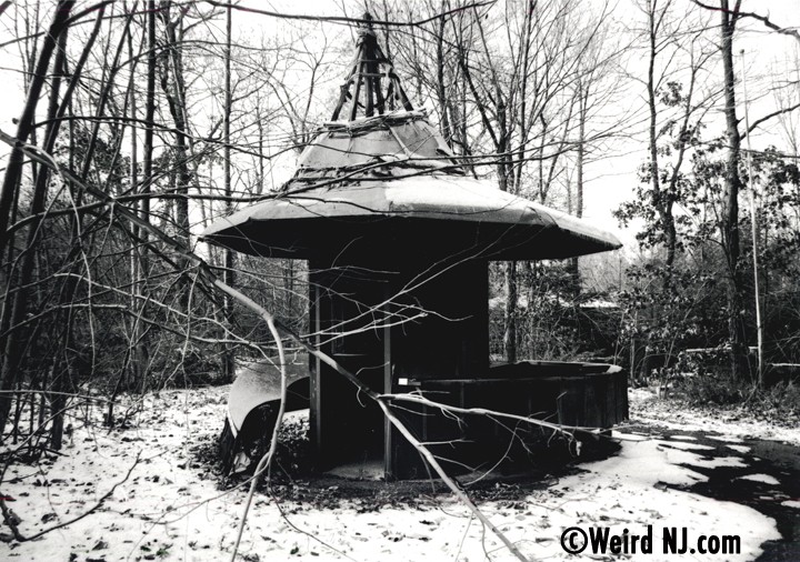 Jungle Habitat Wild, Free and Abandoned Weird NJ